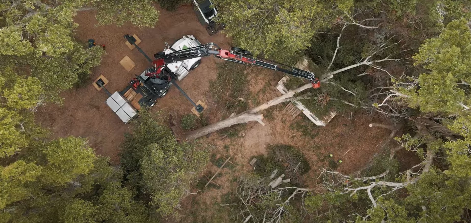 Aerial view of tree removal project in The Villages