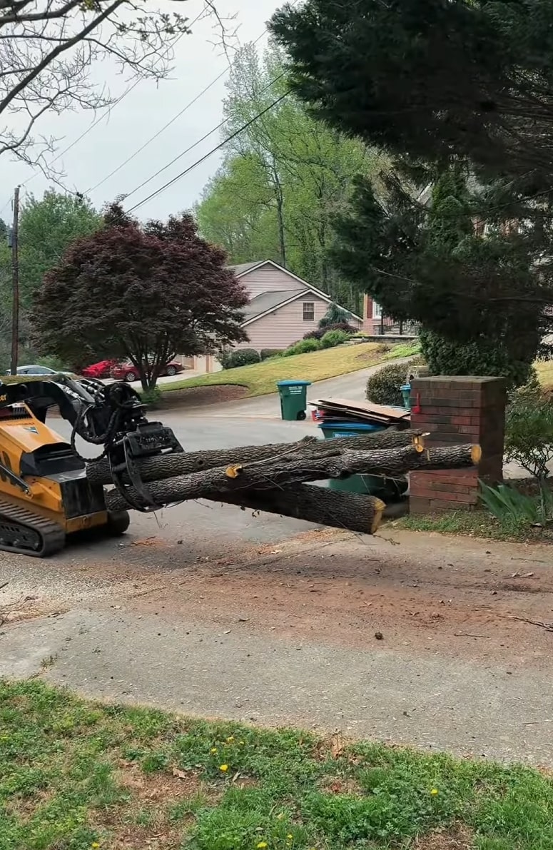 Professional tree service equipment including stump grinder and logs in The Villages FL
