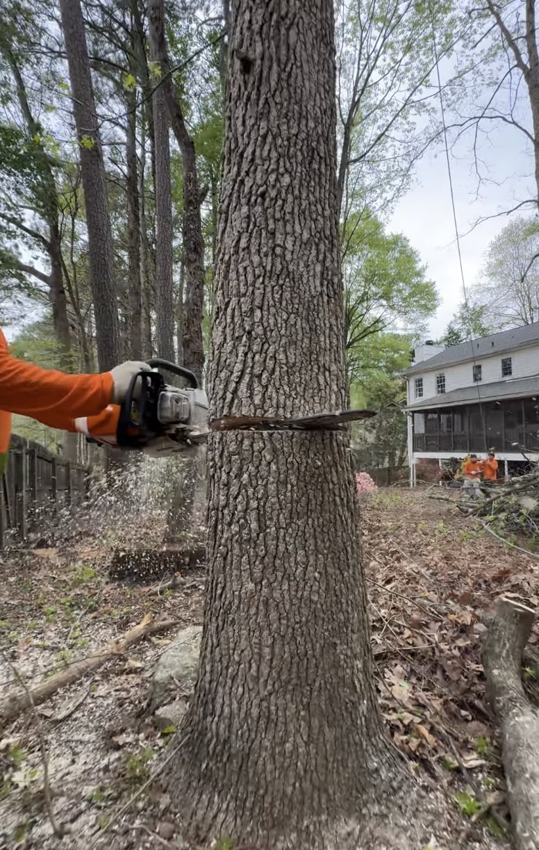 Professional arborist using chainsaw for precise tree cutting near residential home