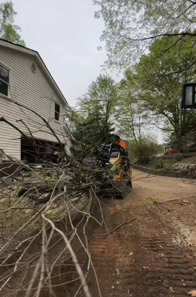 Tree service crew clearing fallen branches and debris after storm damage