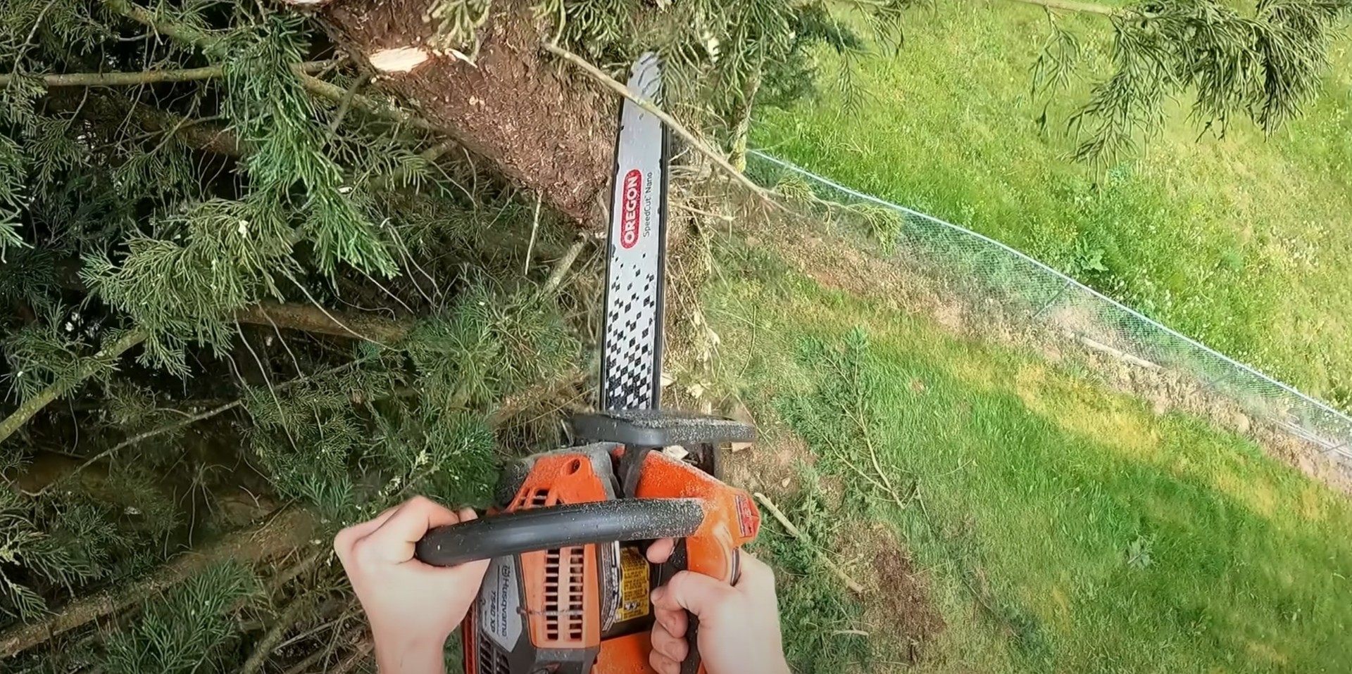Close-up view of professional chainsaw equipment for tree cutting services