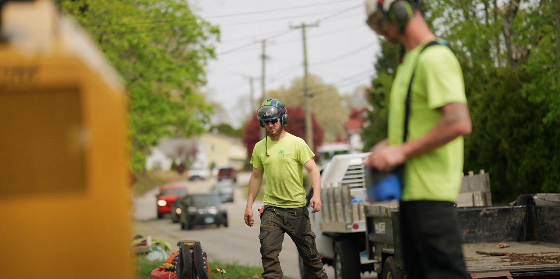 Professional tree service crew working safely with proper equipment in The Villages FL